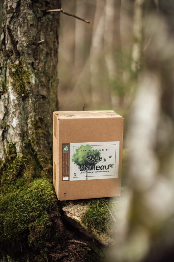 Sève de bouleau fraîche, cubi 3 litres (Pré-commande 2025)